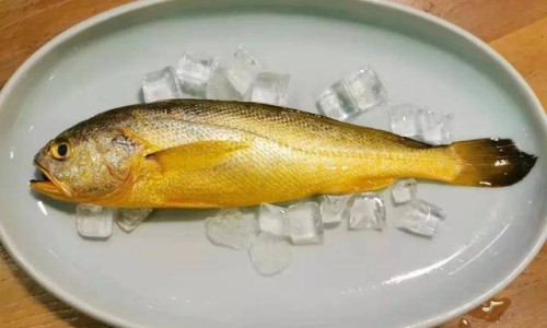 医院的营养科主要针对哪些病患-中医院营养科的工作制度网—知名的医院 营养科网站,分享医院 营养科知识