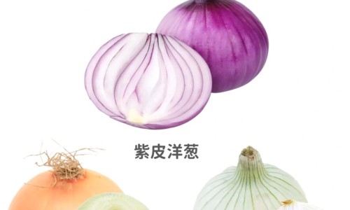 医院的营养科主要针对哪些病患-中医院营养科的工作制度网—知名的医院 营养科网站,分享医院 营养科知识